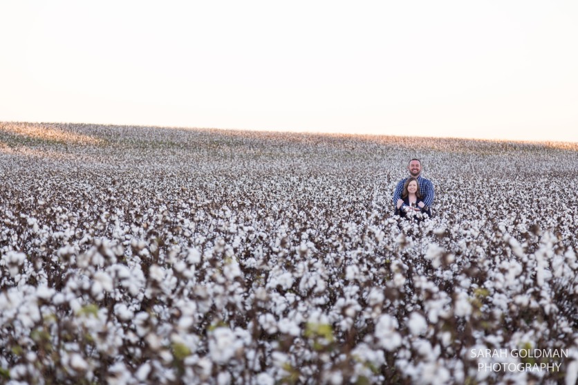family photos in a cotton field south carolina